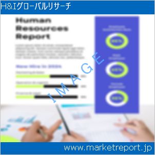 市場と産業調査レポートのイメージ